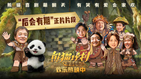 爱维侦察